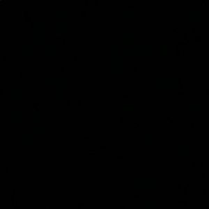 Meet your Posher, Hoang